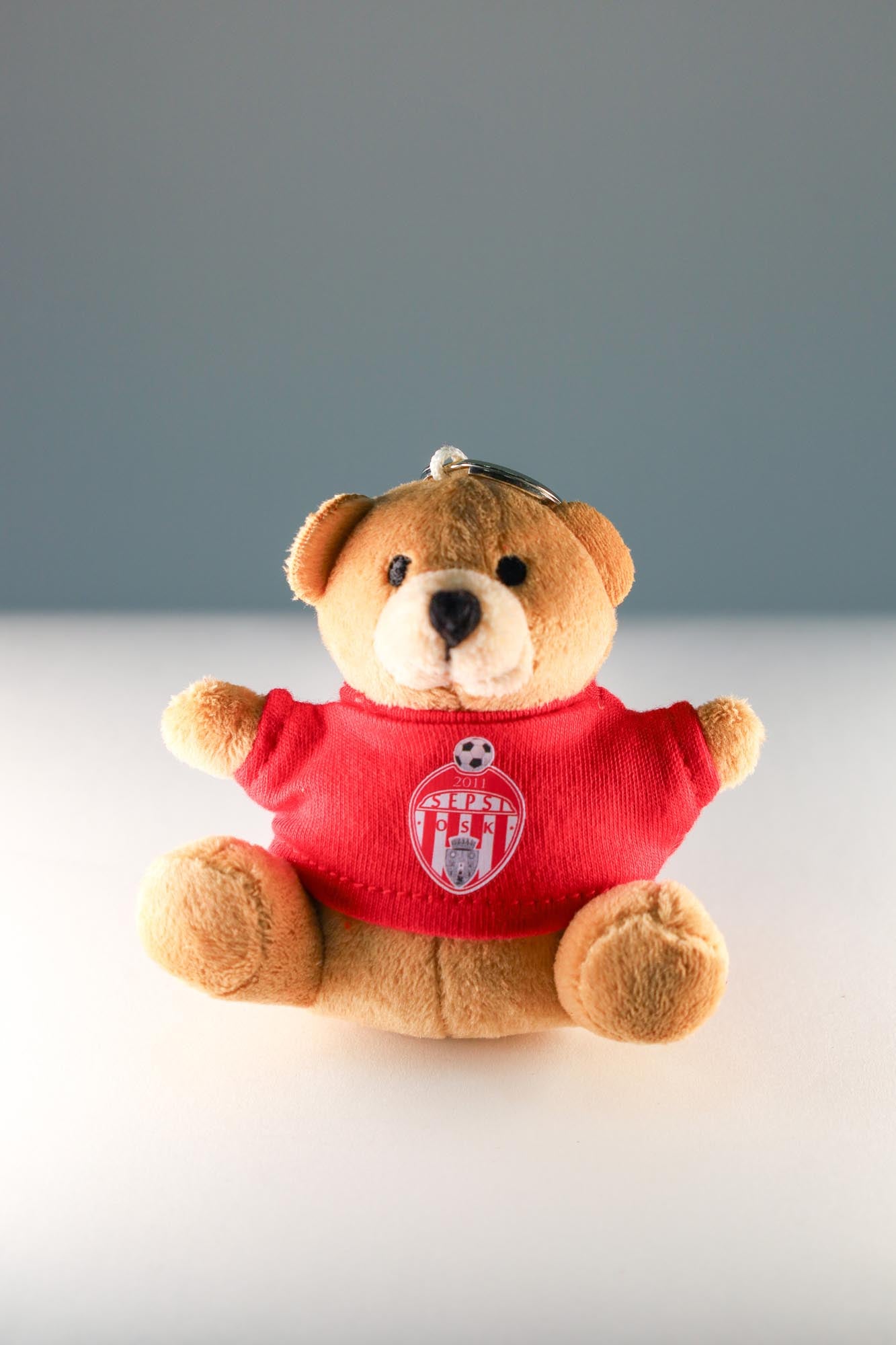 SEPSI OSK MASCOT KEYRING